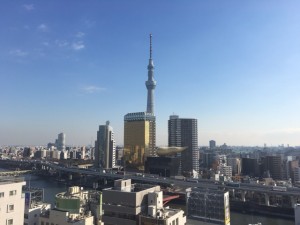 東京都台東区雷門付近　非常階段に鳩が住み着いてしまい、糞害がすごいので対 策と清掃