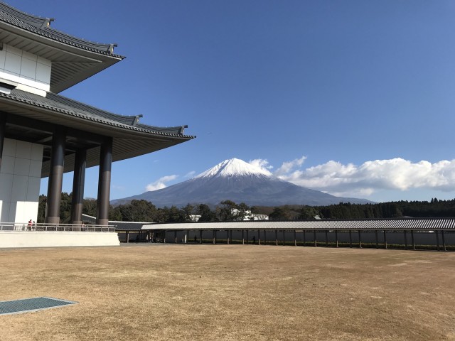 1月があっ❗️と言う間に終わり、早2月‼️