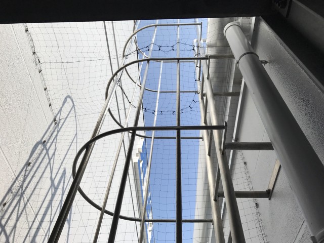 24_____BLOG