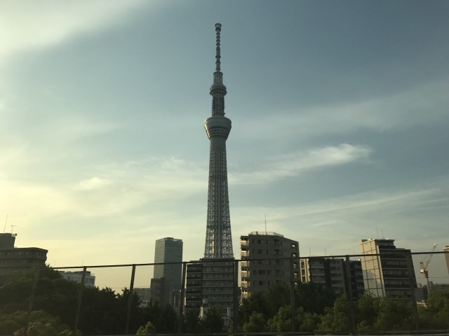 外壁面剝落防止ネット施工