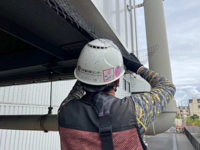 東京における鳩の被害状況について考察する。その２