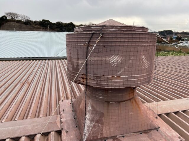鳩の建物への侵入口の1つに工場や倉庫などの屋根上に設置されているベンチレーターからも鳩は出入りします。