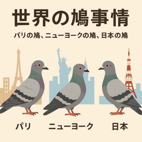 世界の鳩事情〜パリの鳩、ニューヨークの鳩、日本の鳩〜