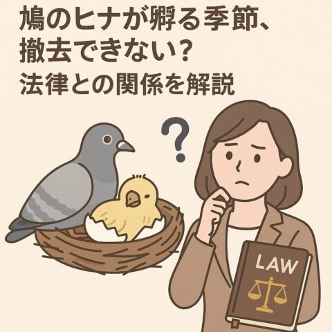 鳩のヒナが孵る季節、撤去できない？