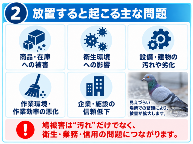 工場・倉庫の鳩被害を放置すると何が問題になるのか