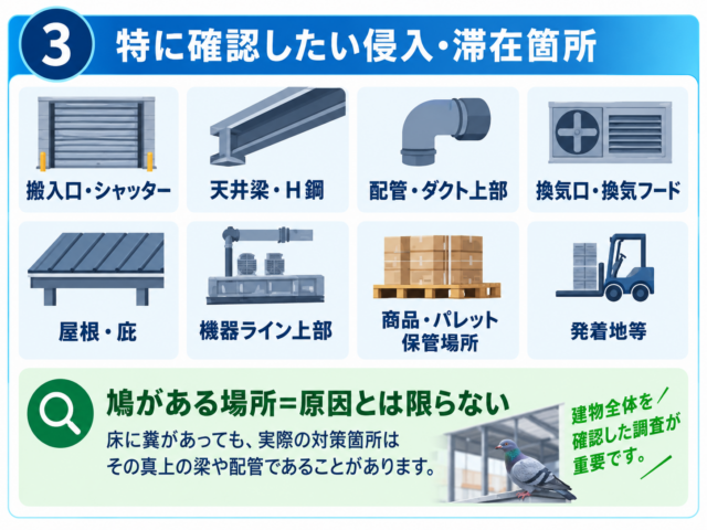 工場・倉庫で特に確認したい鳩の侵入・滞在場所