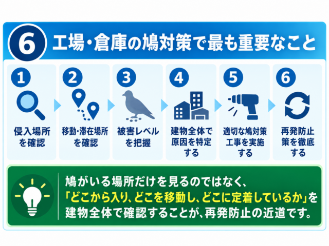 工場と物流倉庫では同じ鳩対策とは限りません