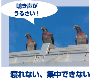 鳴き声がうるさい