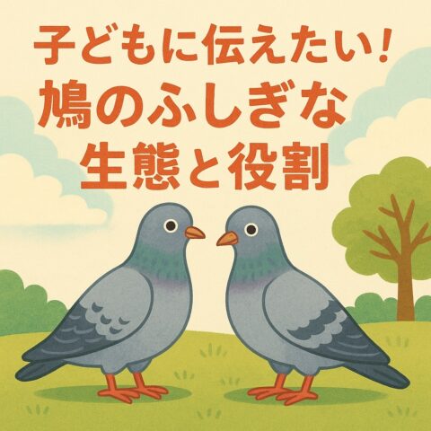 子どもに伝えたい！鳩のふしぎな生態と役割