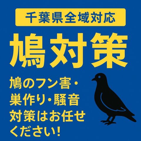 【千葉県全域対応】木更津発、鳩対策のプロフェッショナルが始動！ 木更津営業所を開設しました！