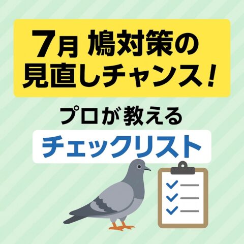 7月は鳩対策の見直しチャンス！プロが教えるチェックリスト