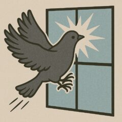 鳩対策、バードストライクその２ 施設管理・建物環境における「バードストライク」の現場的な意味